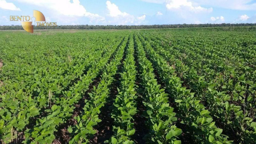 Fazenda à venda de 8.000 ha em Primavera do Leste, MT, Brasil