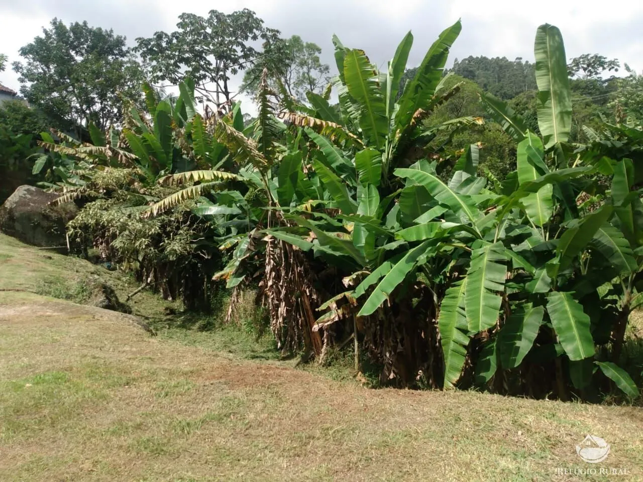 Country home for sale of 1,000 m² in São José dos Campos, SP, Brazil
