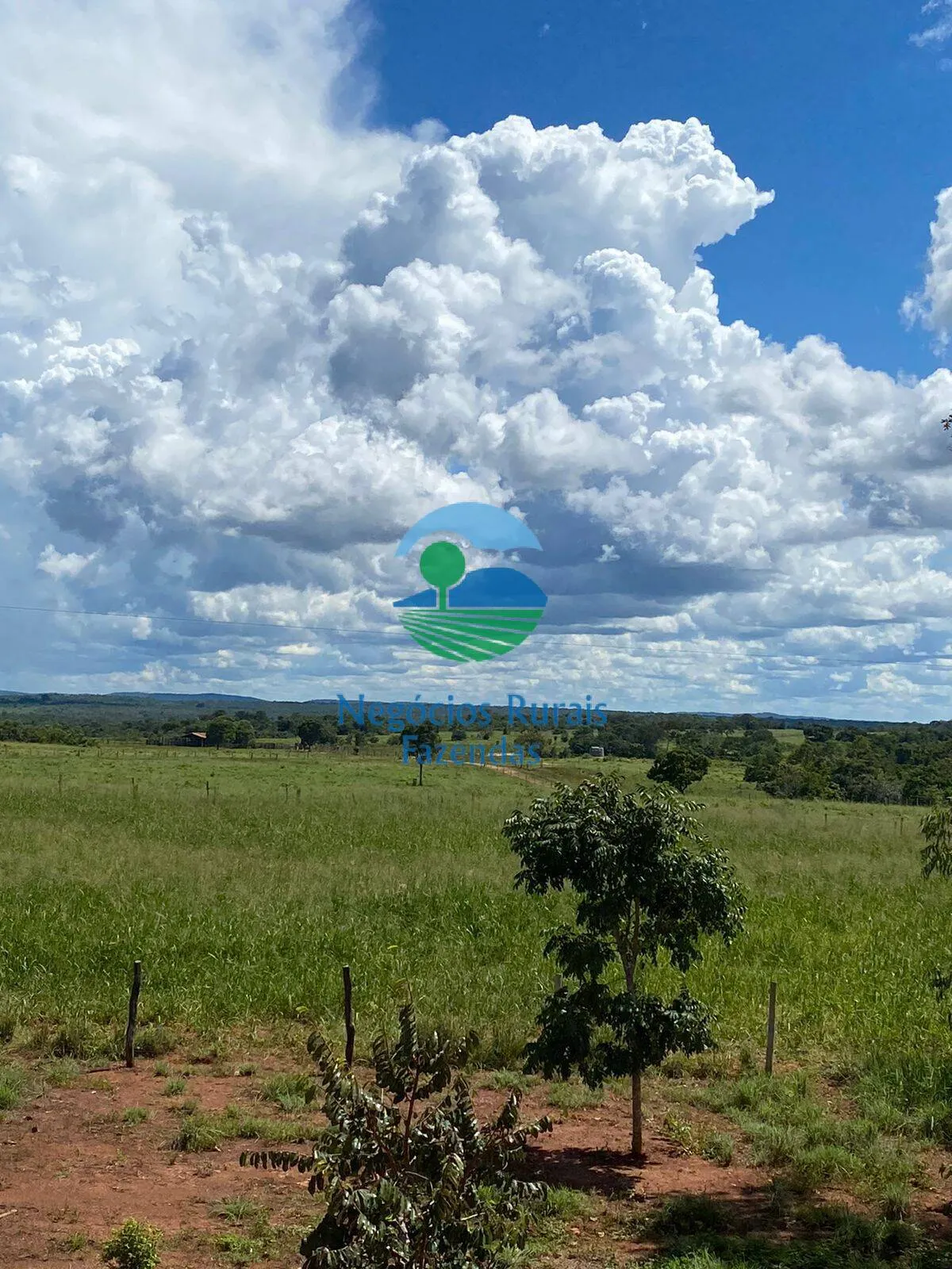 Fazenda à venda de 1.342 ha em São Valério da Natividade, TO, Brasil