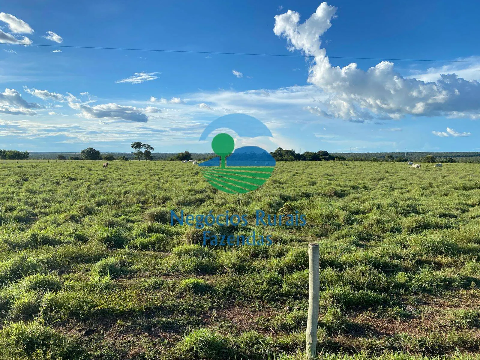 Fazenda à venda de 1.342 ha em São Valério da Natividade, TO, Brasil
