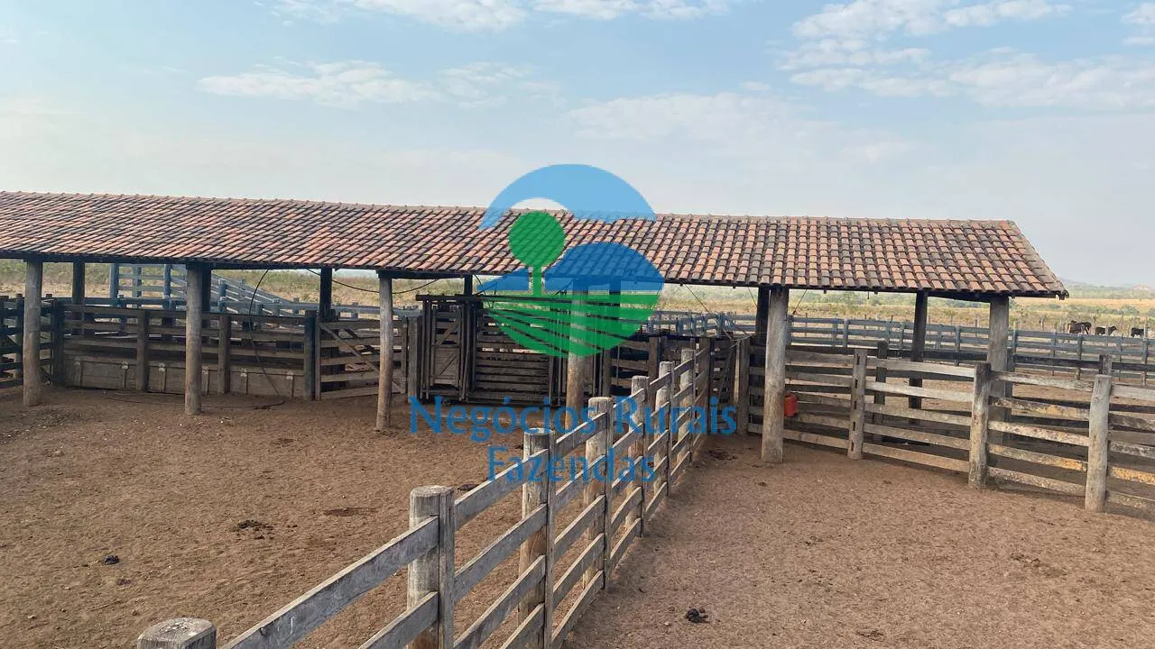 Fazenda à venda de 1.342 ha em São Valério da Natividade, TO, Brasil