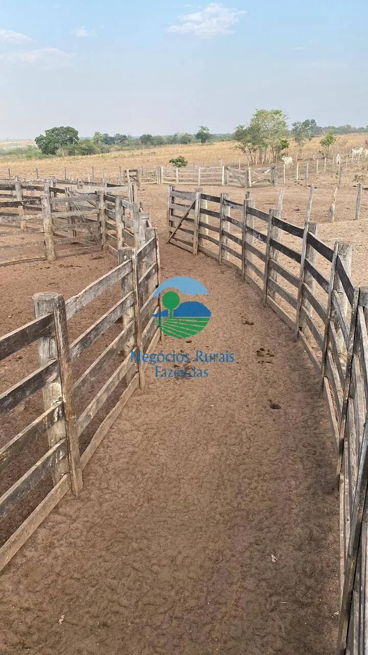 Fazenda à venda de 1.342 ha em São Valério da Natividade, TO, Brasil