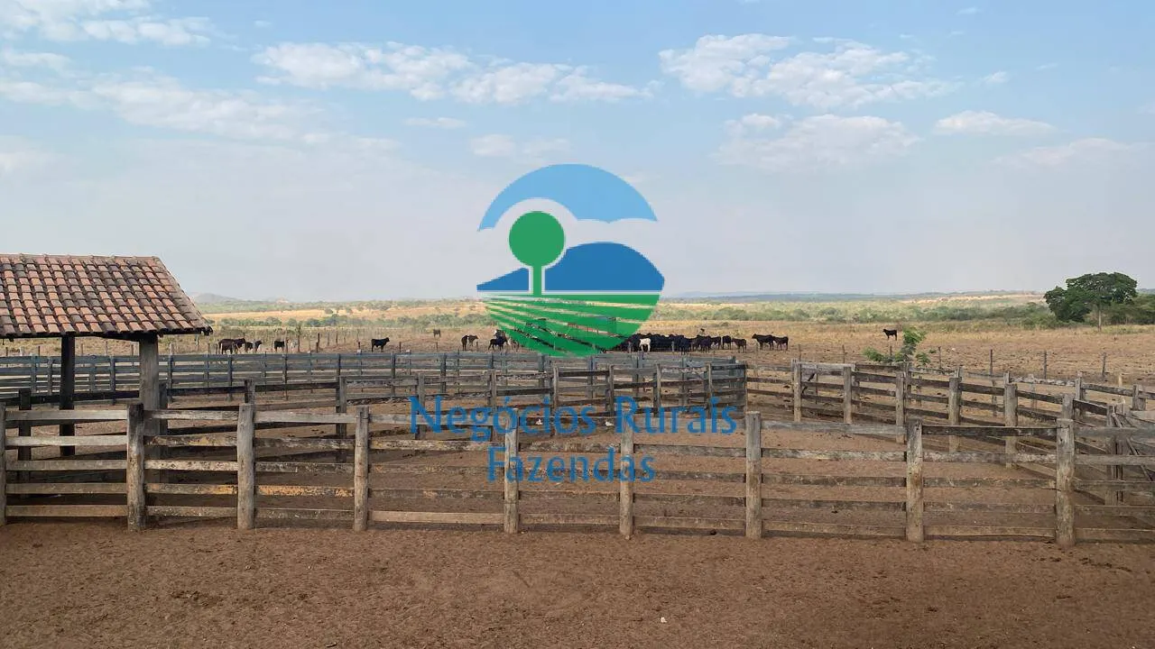 Fazenda à venda de 1.342 ha em São Valério da Natividade, TO, Brasil