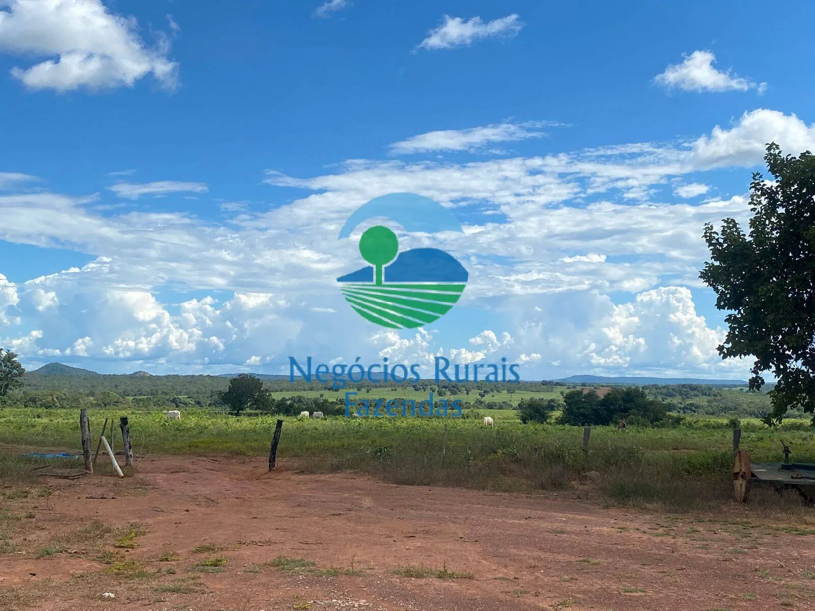 Fazenda à venda de 1.342 ha em São Valério da Natividade, TO, Brasil
