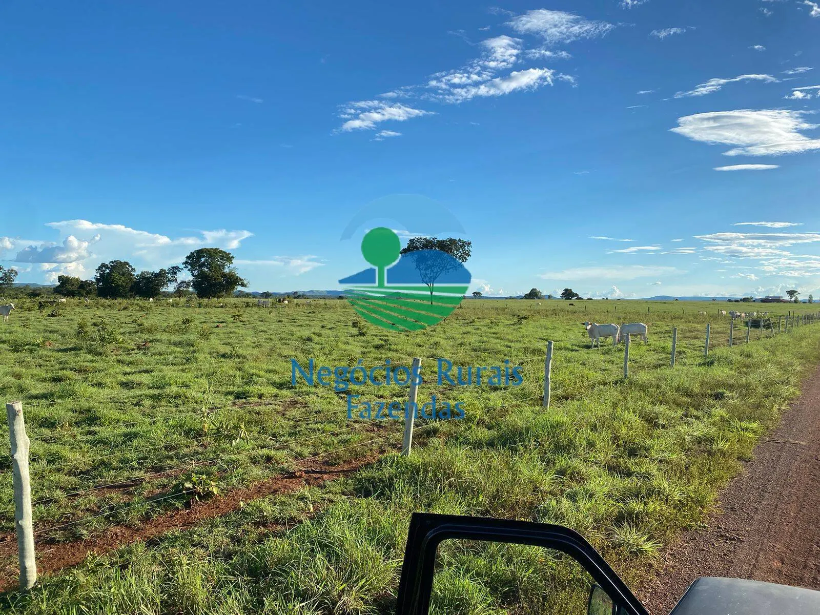 Fazenda à venda de 1.342 ha em São Valério da Natividade, TO, Brasil
