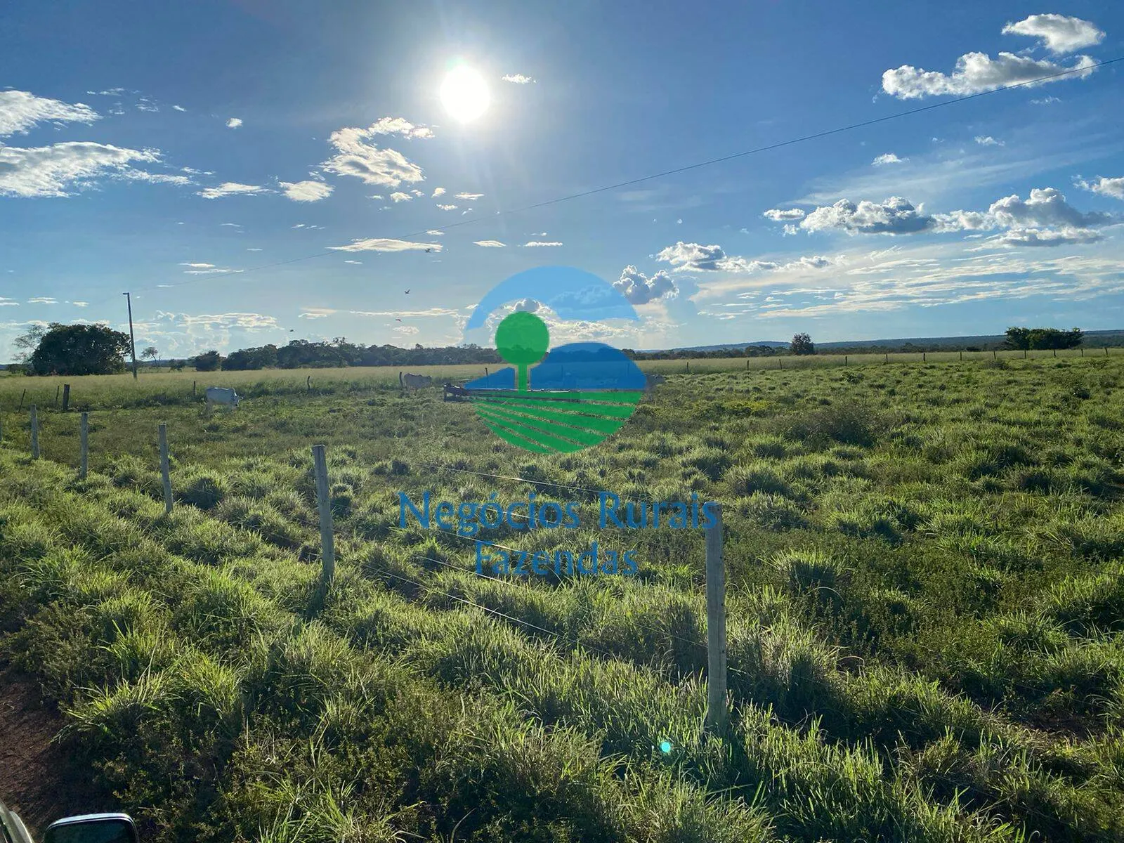 Fazenda à venda de 1.342 ha em São Valério da Natividade, TO, Brasil