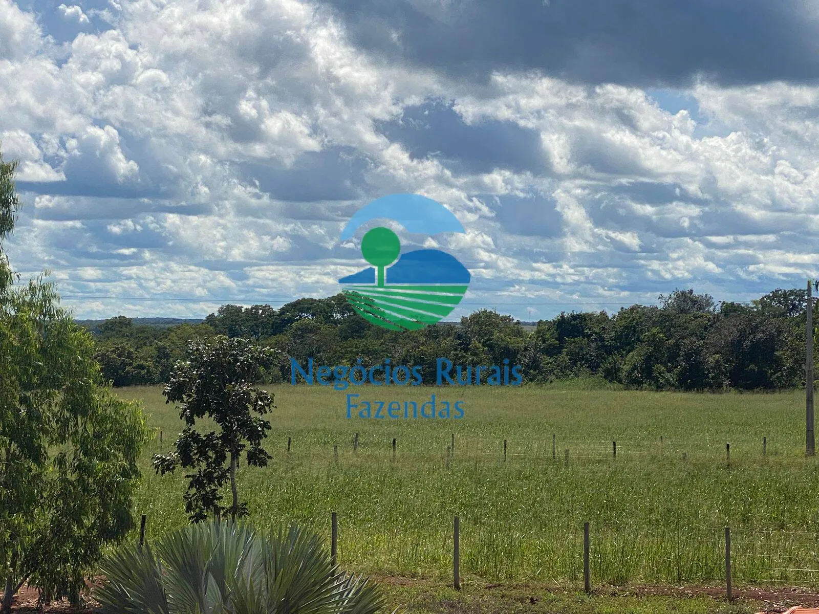 Fazenda à venda de 1.342 ha em São Valério da Natividade, TO, Brasil