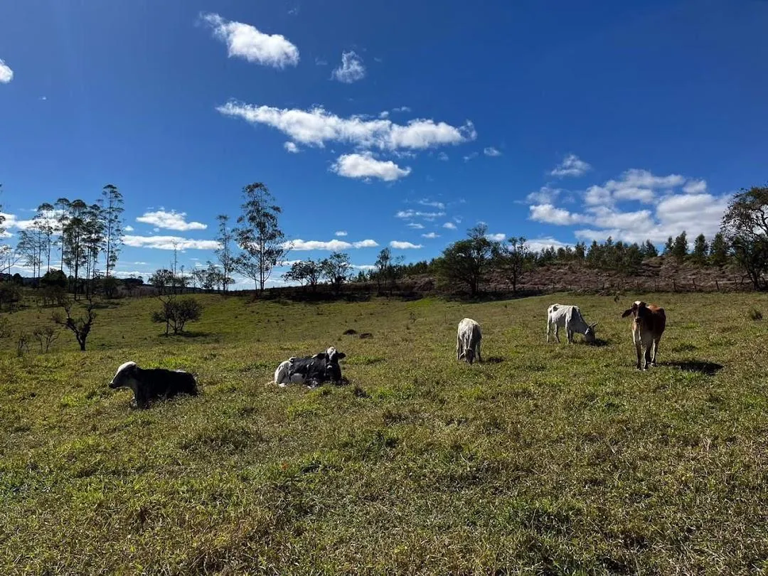 Sítio à venda de 9 ha em Pilar do Sul, SP, Brasil