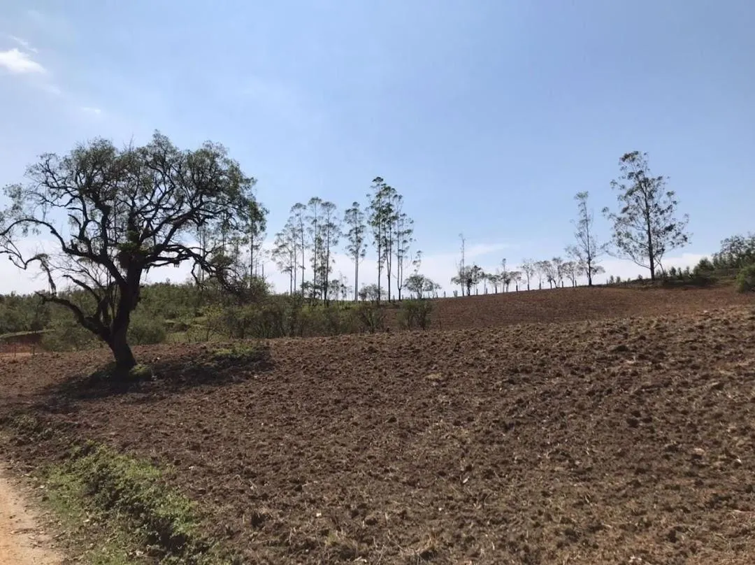Sítio à venda de 9 ha em Pilar do Sul, SP, Brasil