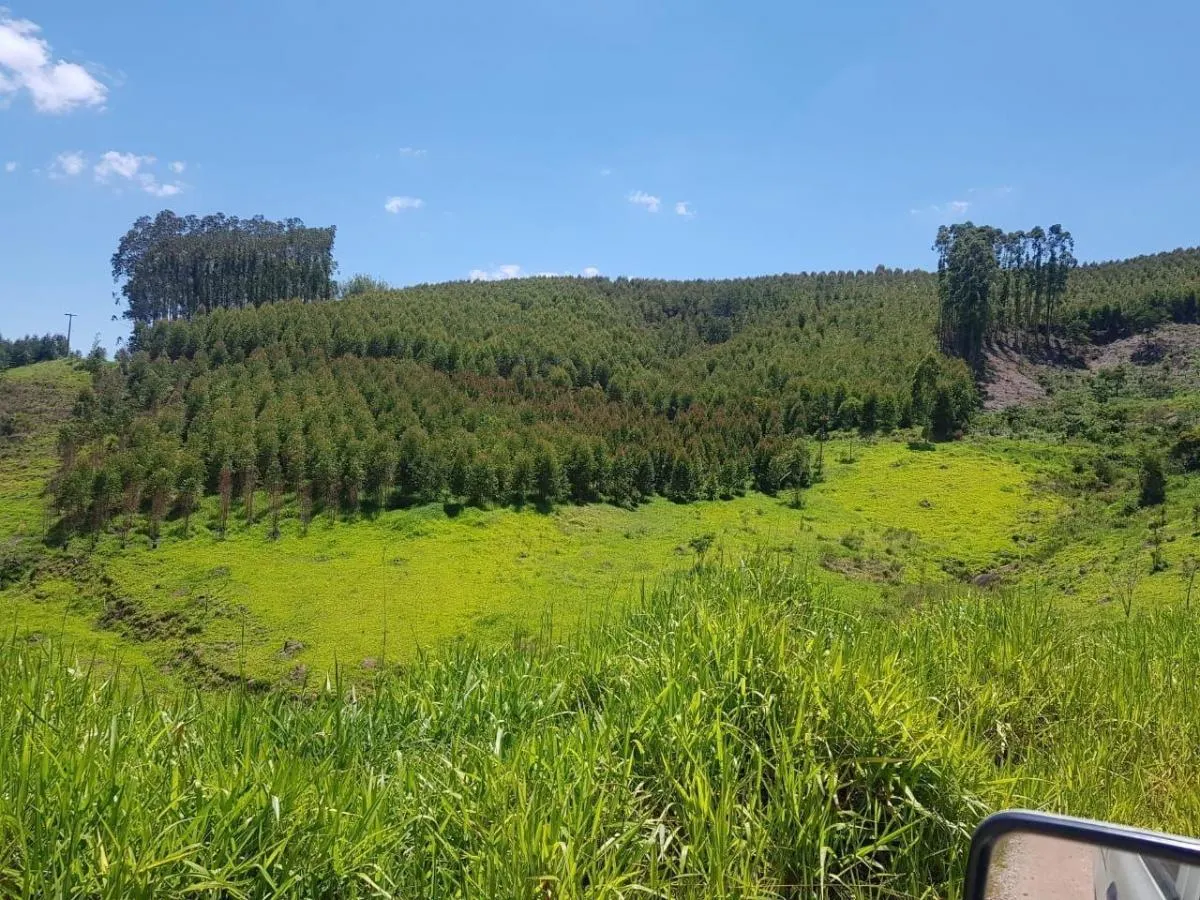 Fazenda à venda de 500 ha em Paraibuna, SP, Brasil