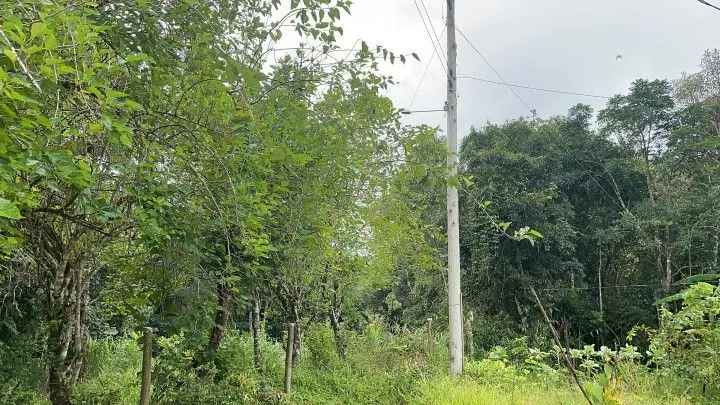 Country home for sale of 3 acres in Maquiné, RS, Brazil
