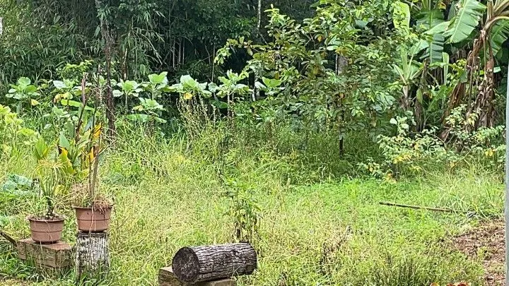 Country home for sale of 3 acres in Maquiné, RS, Brazil