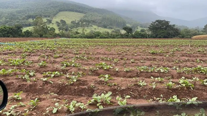 Country home for sale of 3 acres in Maquiné, RS, Brazil