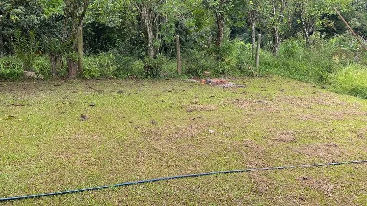 Country home for sale of 3 acres in Maquiné, RS, Brazil