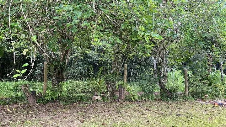 Country home for sale of 3 acres in Maquiné, RS, Brazil