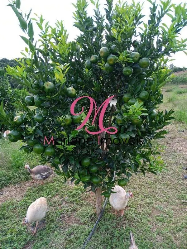 Country home for sale of 6 acres in São Miguel Arcanjo, SP, Brazil