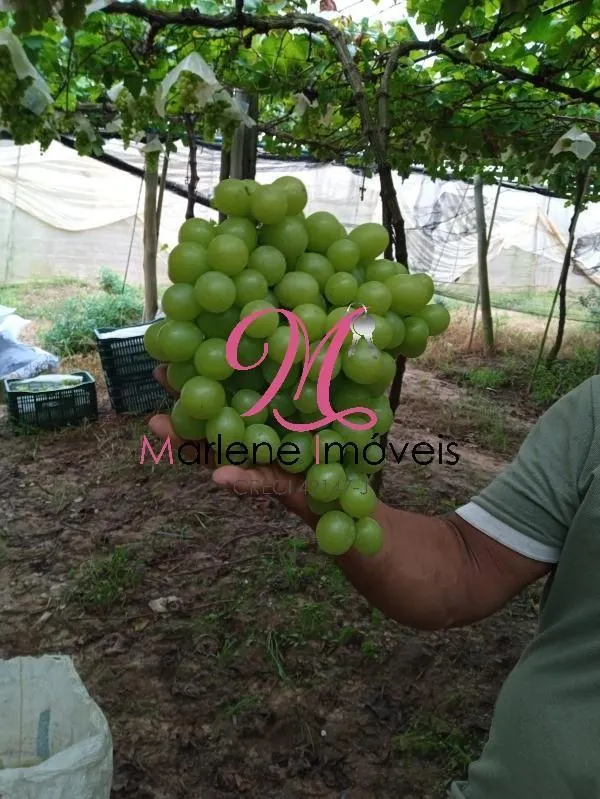 Country home for sale of 6 acres in São Miguel Arcanjo, SP, Brazil