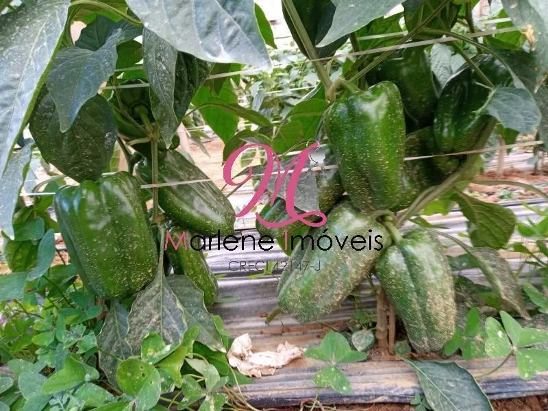 Country home for sale of 6 acres in São Miguel Arcanjo, SP, Brazil