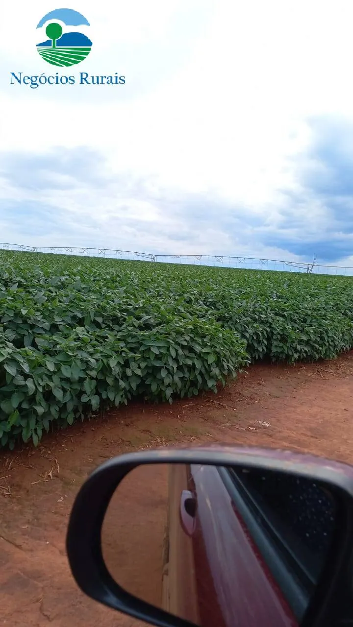 Fazenda à venda de 242 ha em Goiânia, GO, Brasil