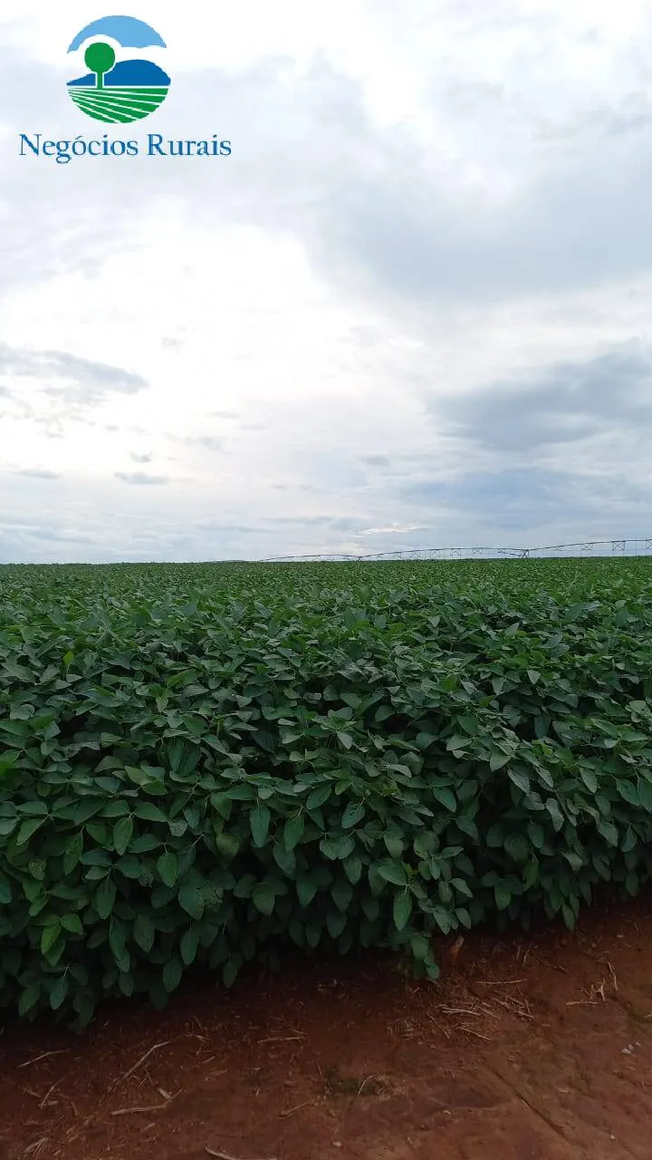 Fazenda à venda de 242 ha em Goiânia, GO, Brasil