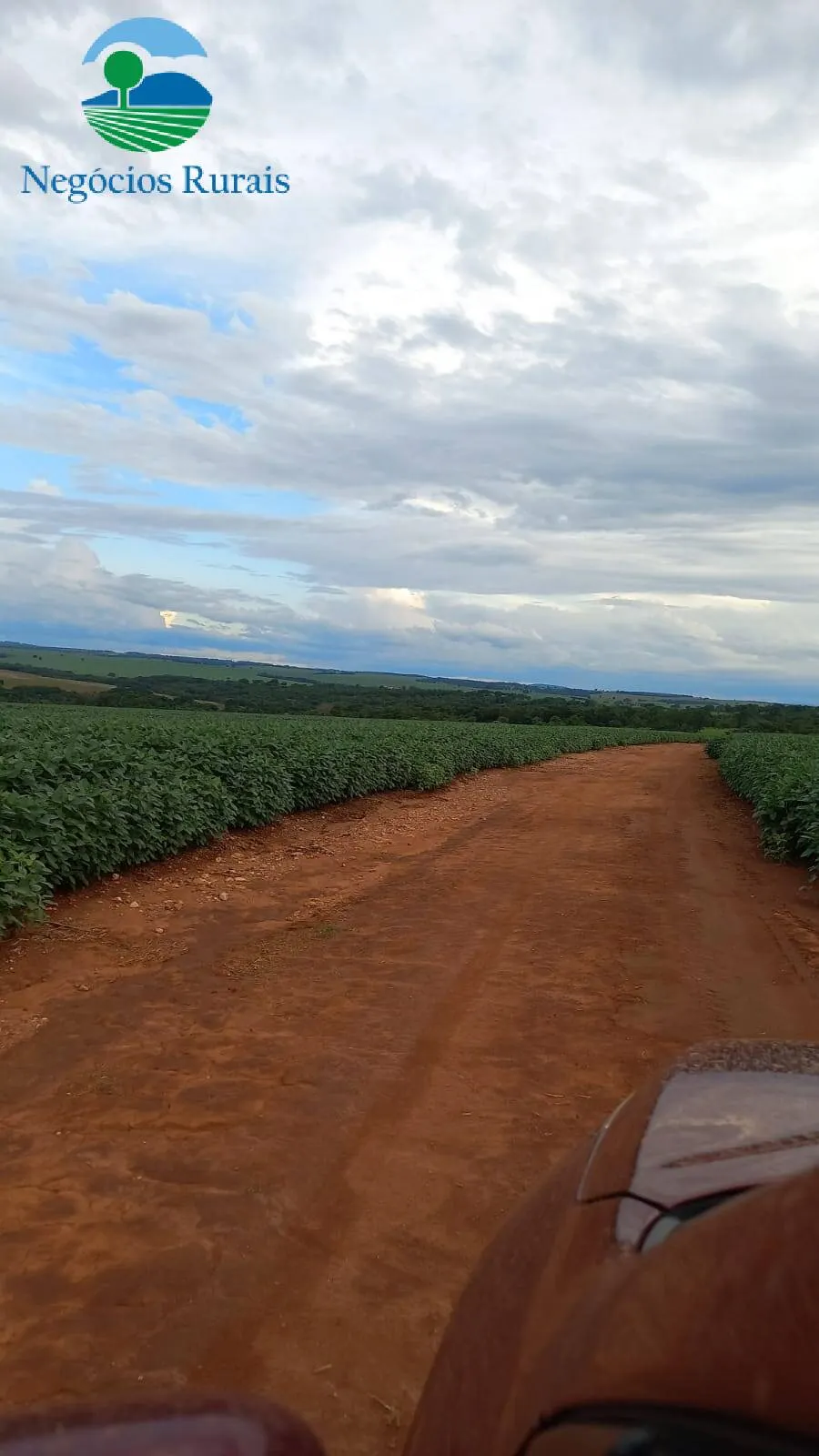 Fazenda à venda de 242 ha em Goiânia, GO, Brasil
