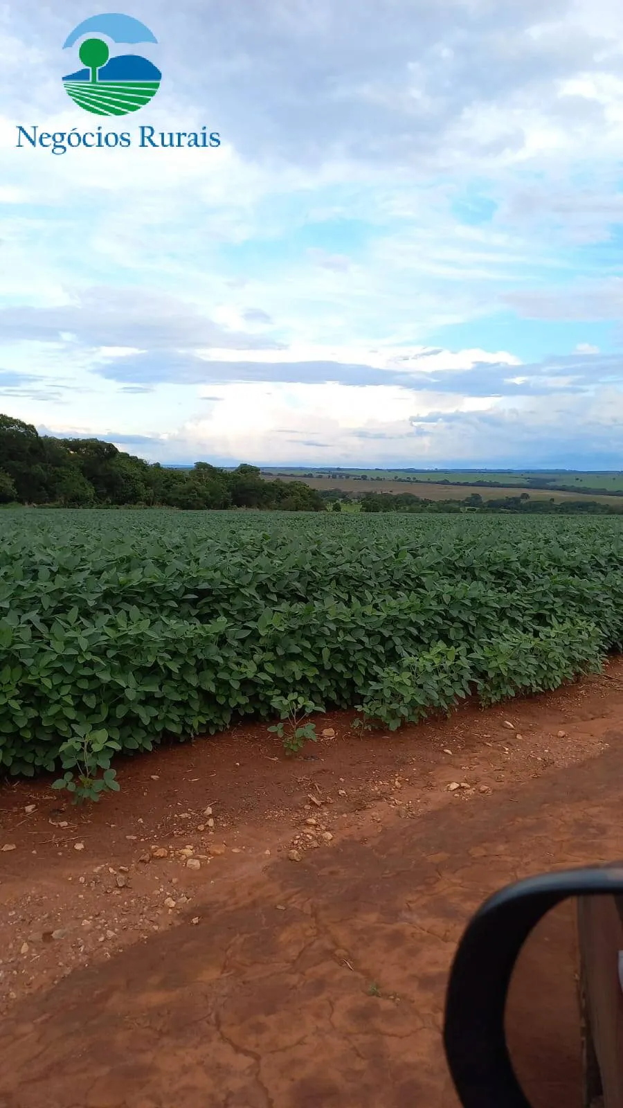 Fazenda à venda de 242 ha em Goiânia, GO, Brasil