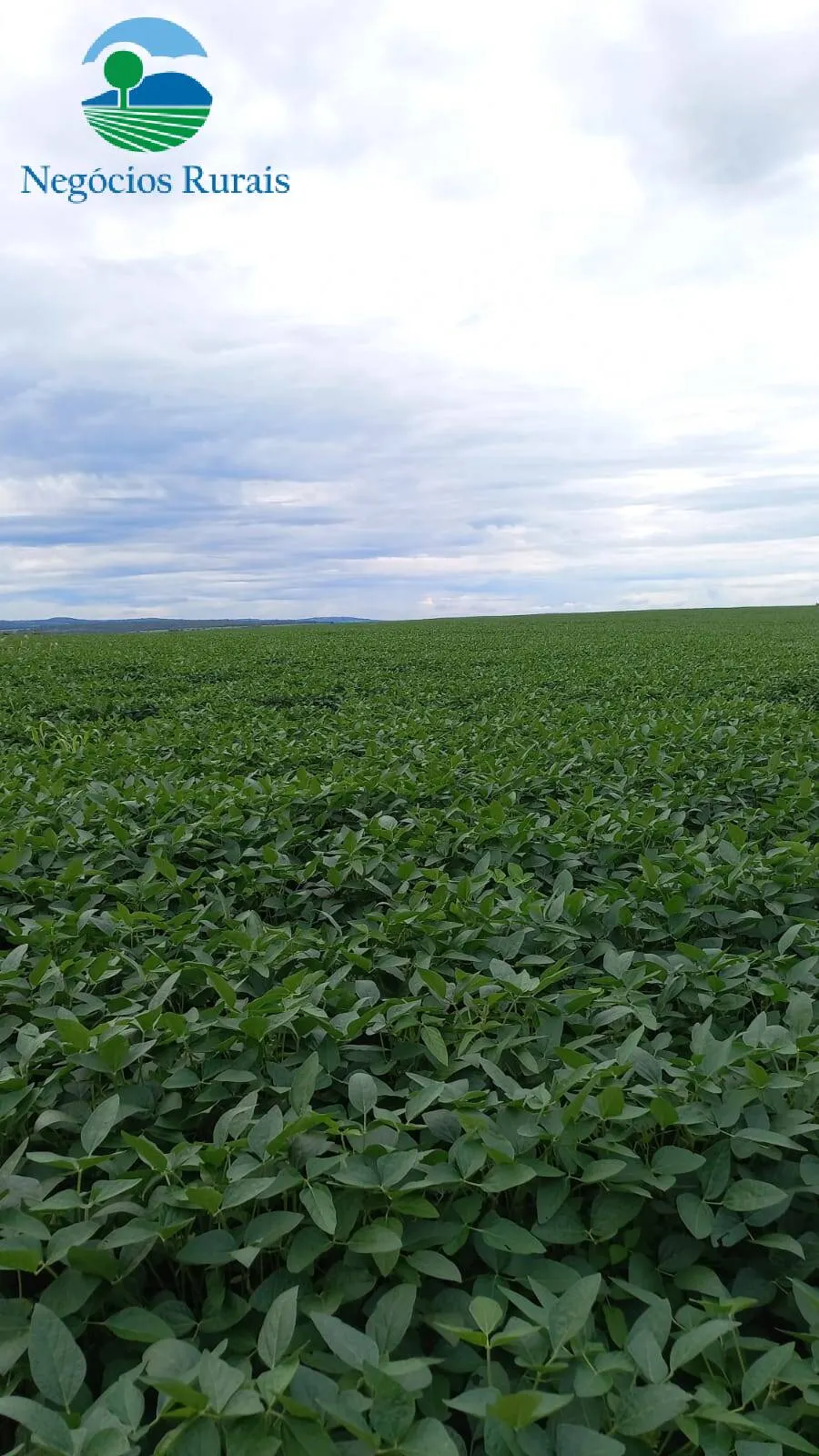 Fazenda à venda de 242 ha em Goiânia, GO, Brasil