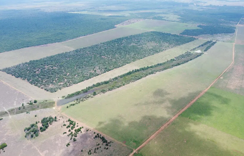 Fazenda à venda de 1.500 ha em Paranatinga, MT, Brasil