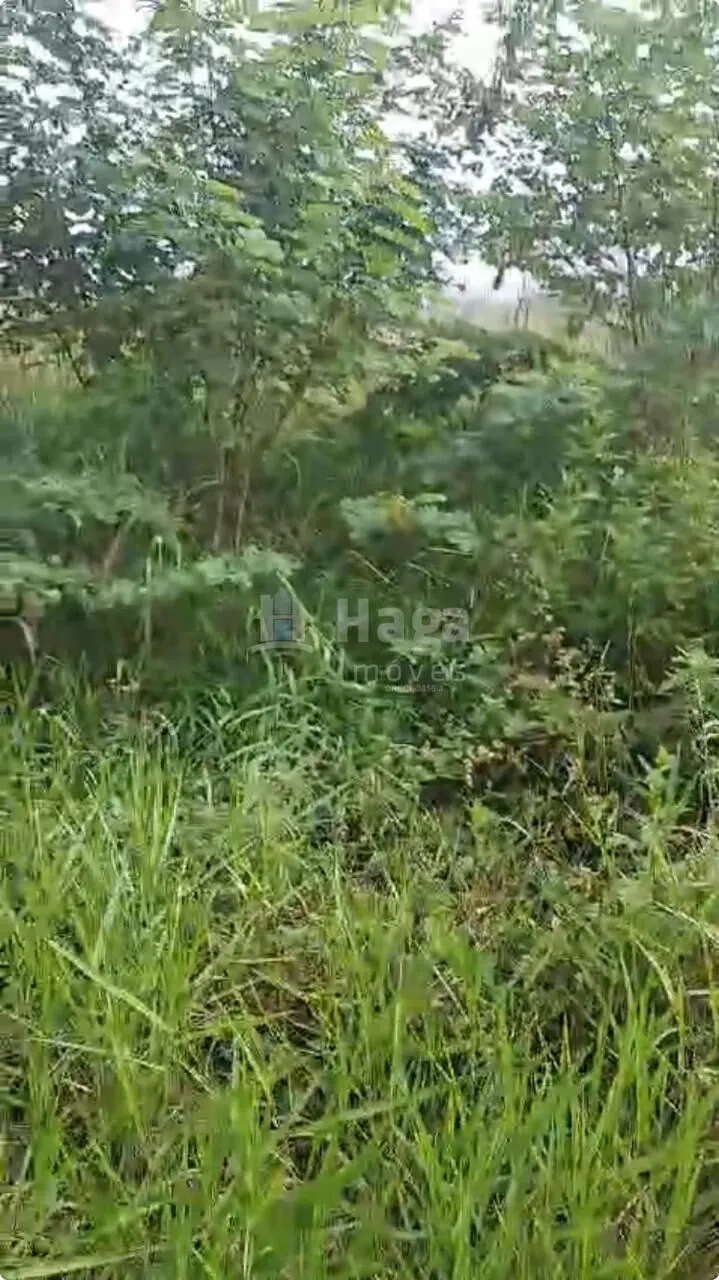 Terreno à venda de 448 m² em Gaspar, SC, Brasil
