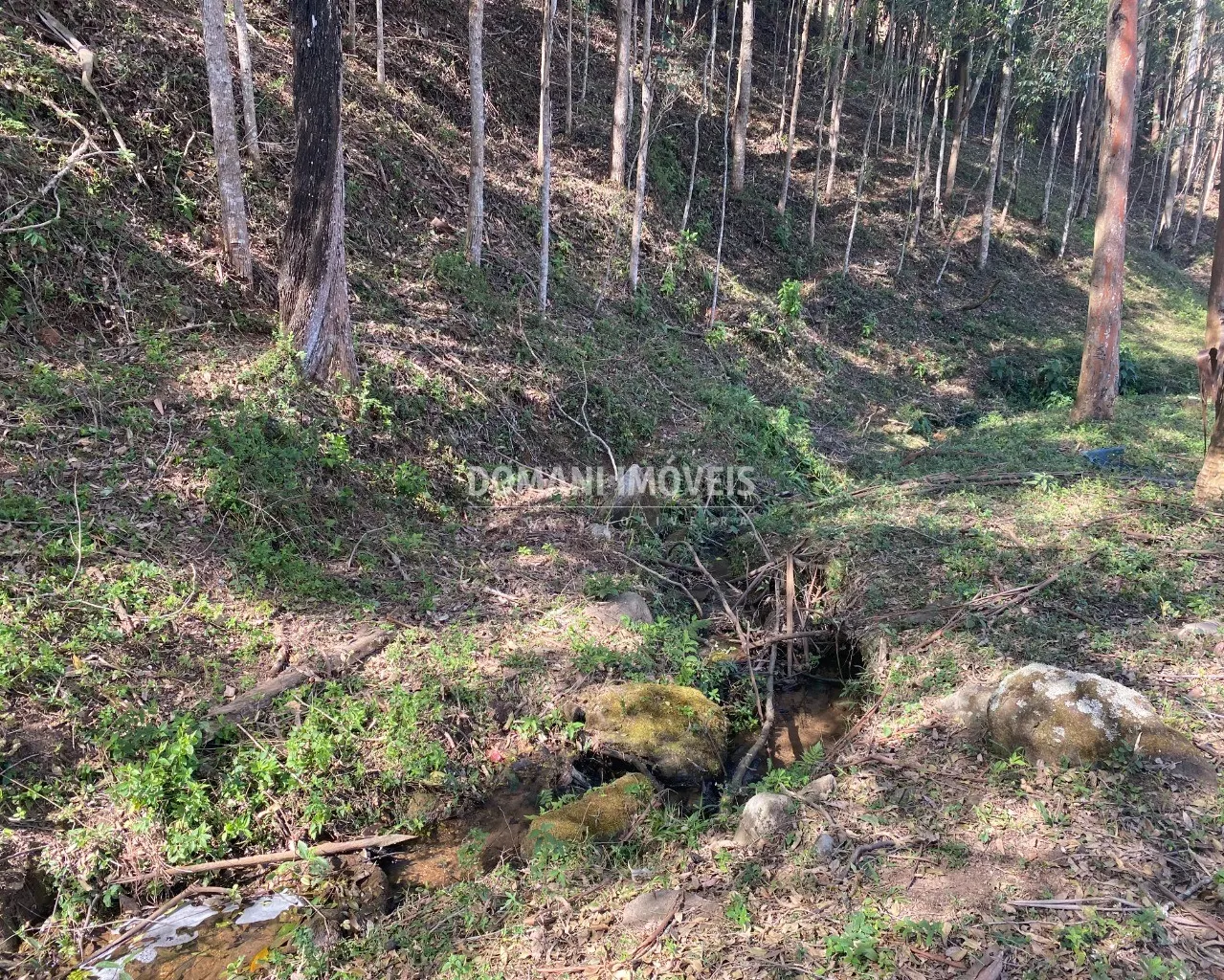 Small farm for sale of 4 acres in Campos do Jordão, SP, Brazil