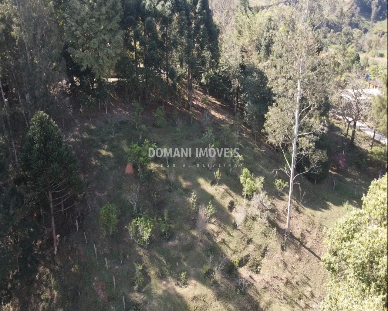 Small farm for sale of 4 acres in Campos do Jordão, SP, Brazil