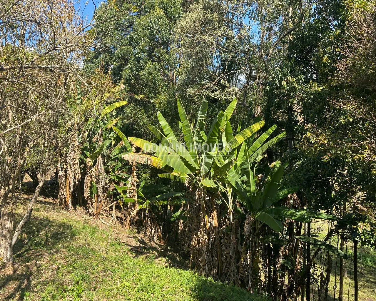 Small farm for sale of 4 acres in Campos do Jordão, SP, Brazil