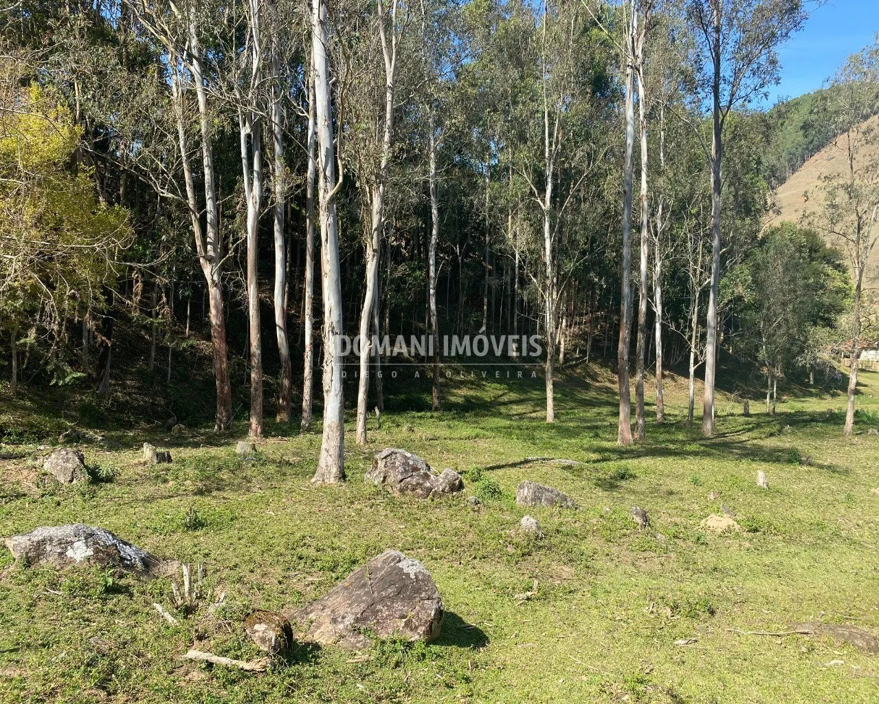 Small farm for sale of 4 acres in Campos do Jordão, SP, Brazil