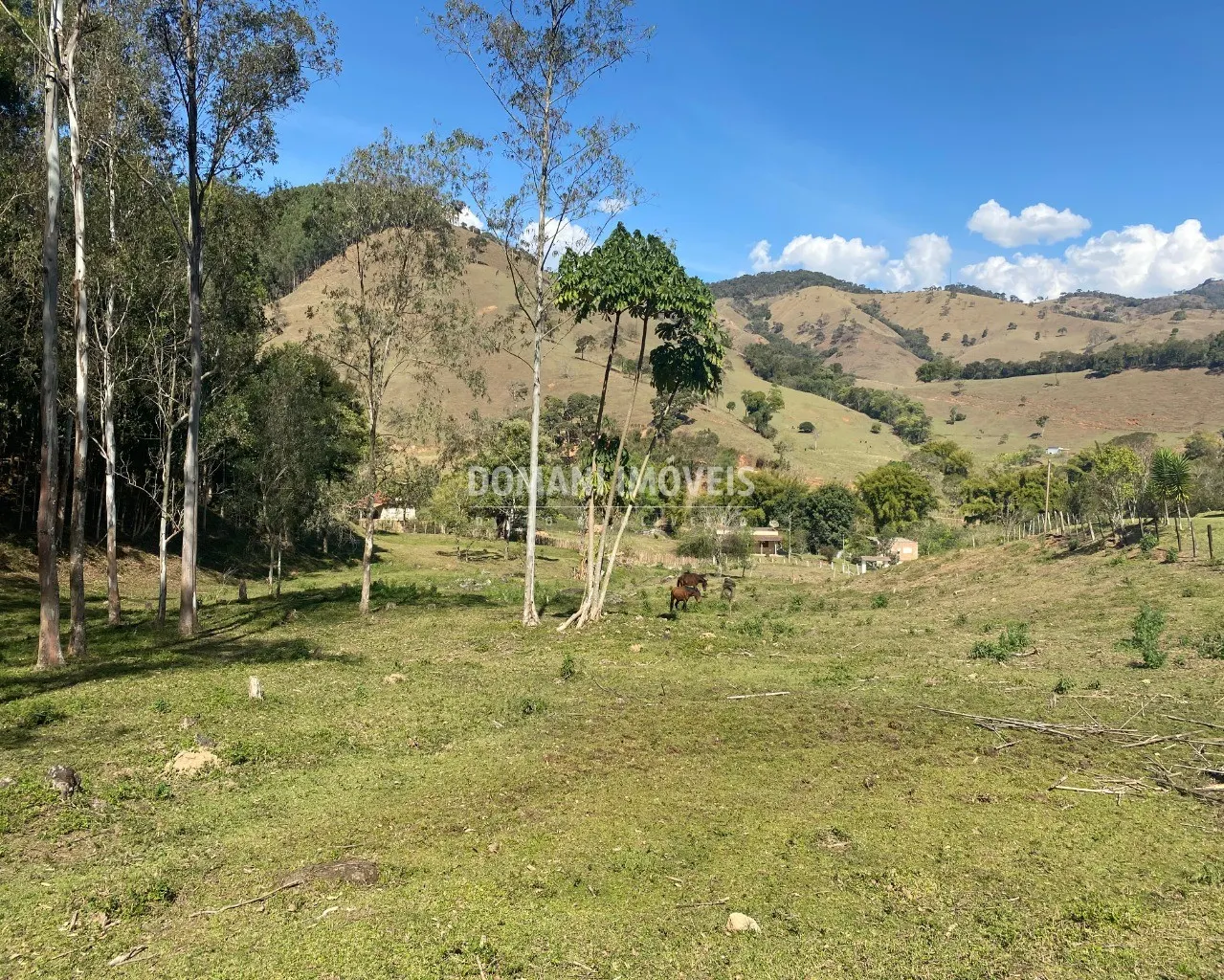 Small farm for sale of 4 acres in Campos do Jordão, SP, Brazil