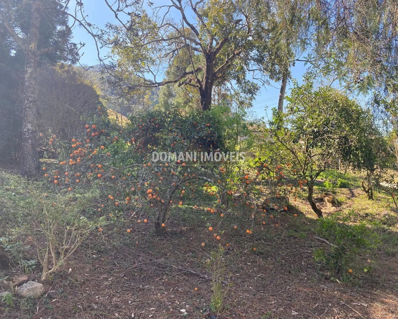 Small farm for sale of 4 acres in Campos do Jordão, SP, Brazil