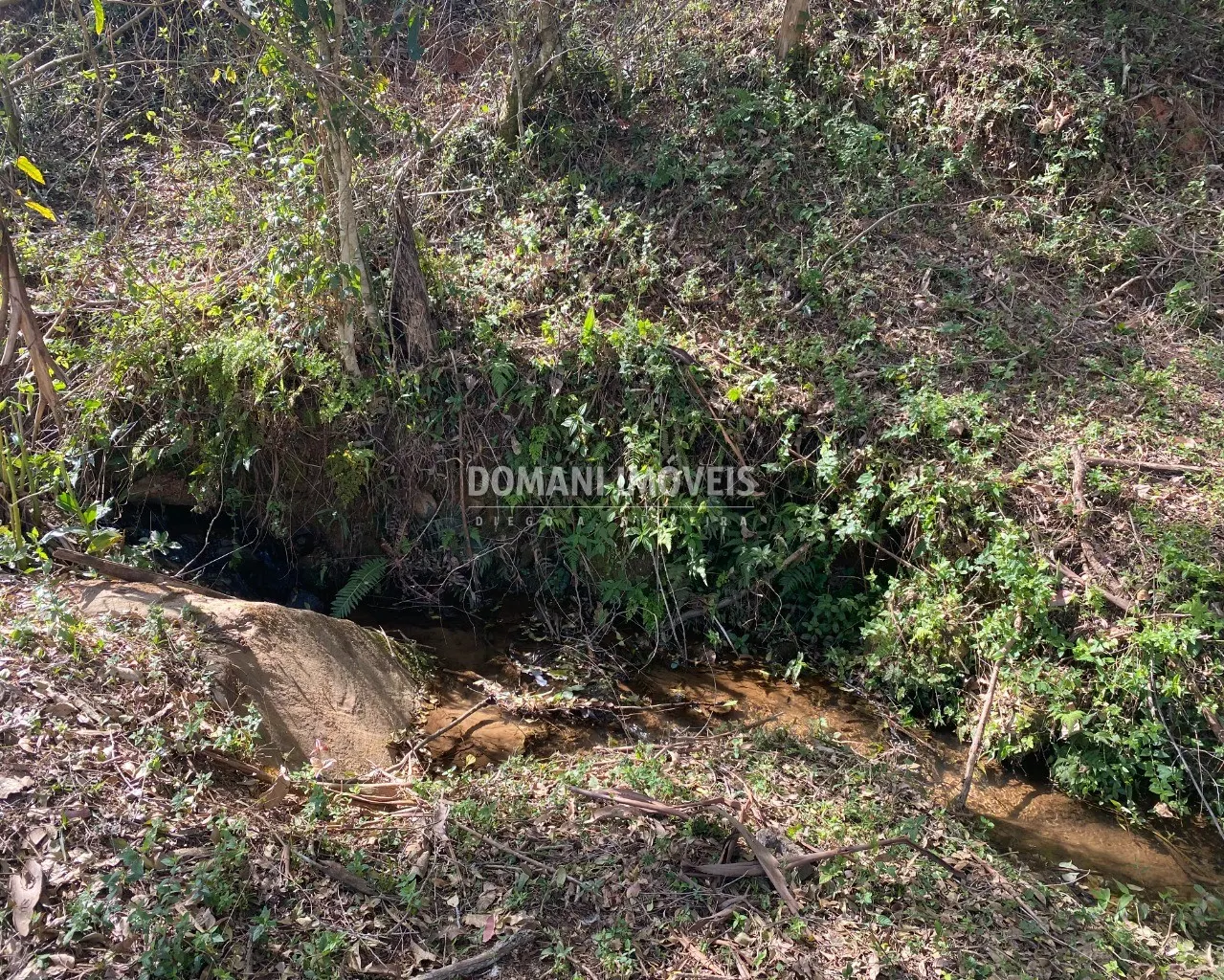 Small farm for sale of 4 acres in Campos do Jordão, SP, Brazil
