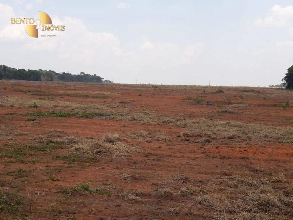 Fazenda à venda de 2.930 ha em Nova Ubiratã, MT, Brasil