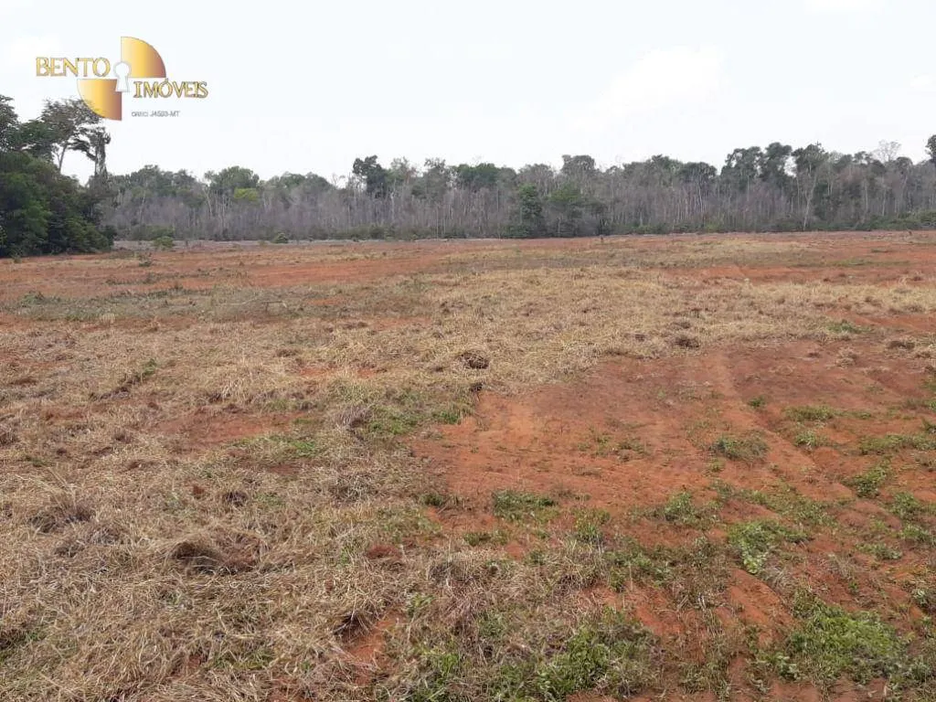 Fazenda à venda de 2.930 ha em Nova Ubiratã, MT, Brasil