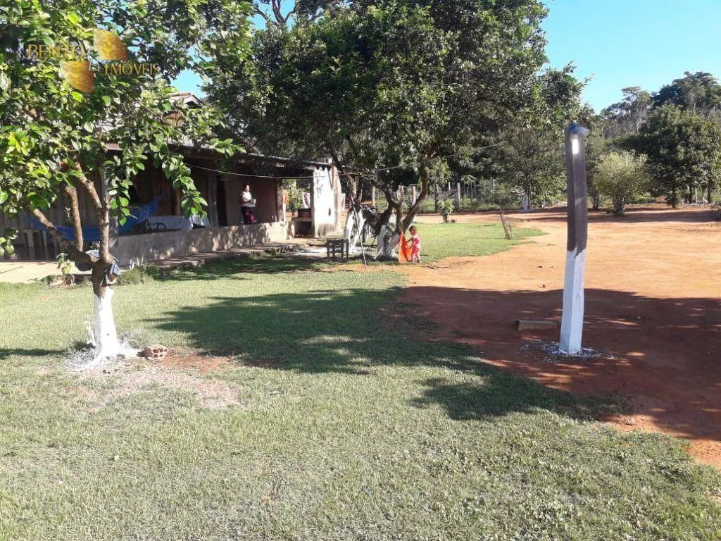 Fazenda à venda de 2.930 ha em Nova Ubiratã, MT, Brasil