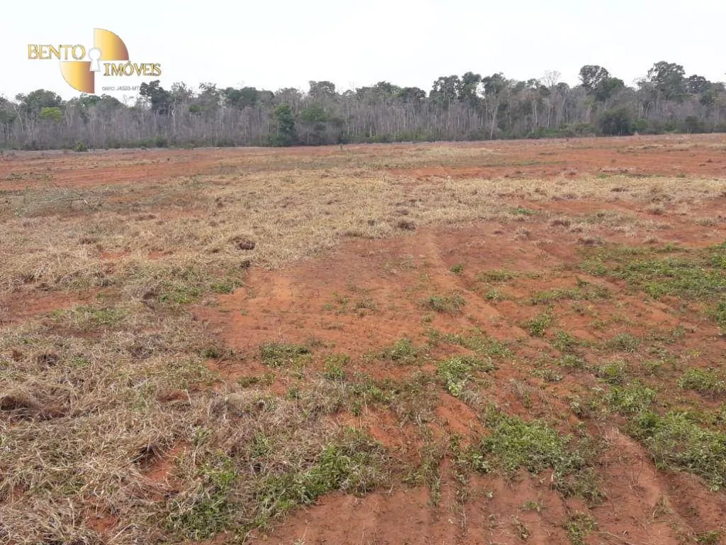Fazenda à venda de 2.930 ha em Nova Ubiratã, MT, Brasil