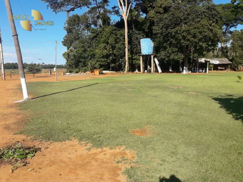 Fazenda à venda de 2.930 ha em Nova Ubiratã, MT, Brasil
