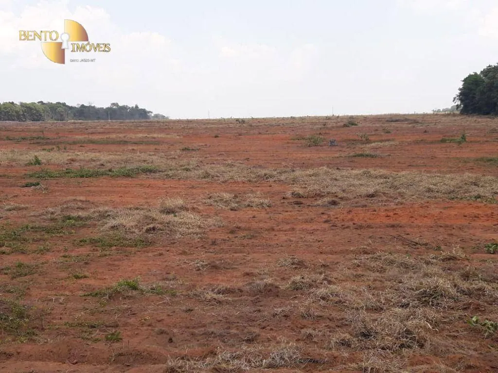 Fazenda à venda de 2.930 ha em Nova Ubiratã, MT, Brasil