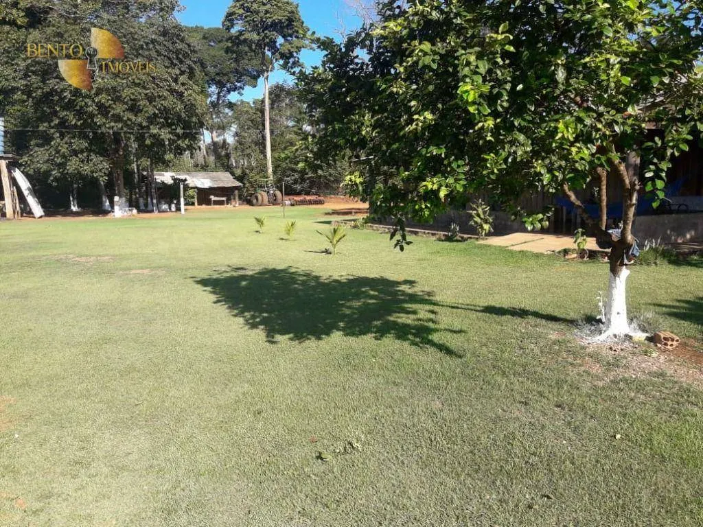 Fazenda à venda de 2.930 ha em Nova Ubiratã, MT, Brasil