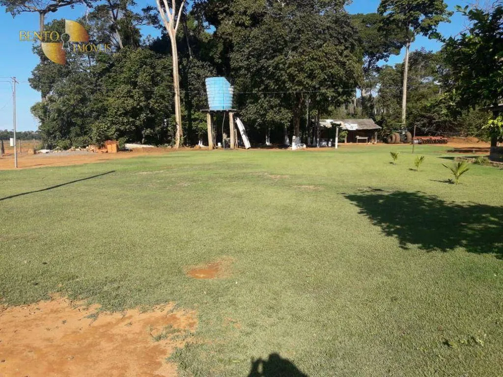 Fazenda à venda de 2.930 ha em Nova Ubiratã, MT, Brasil
