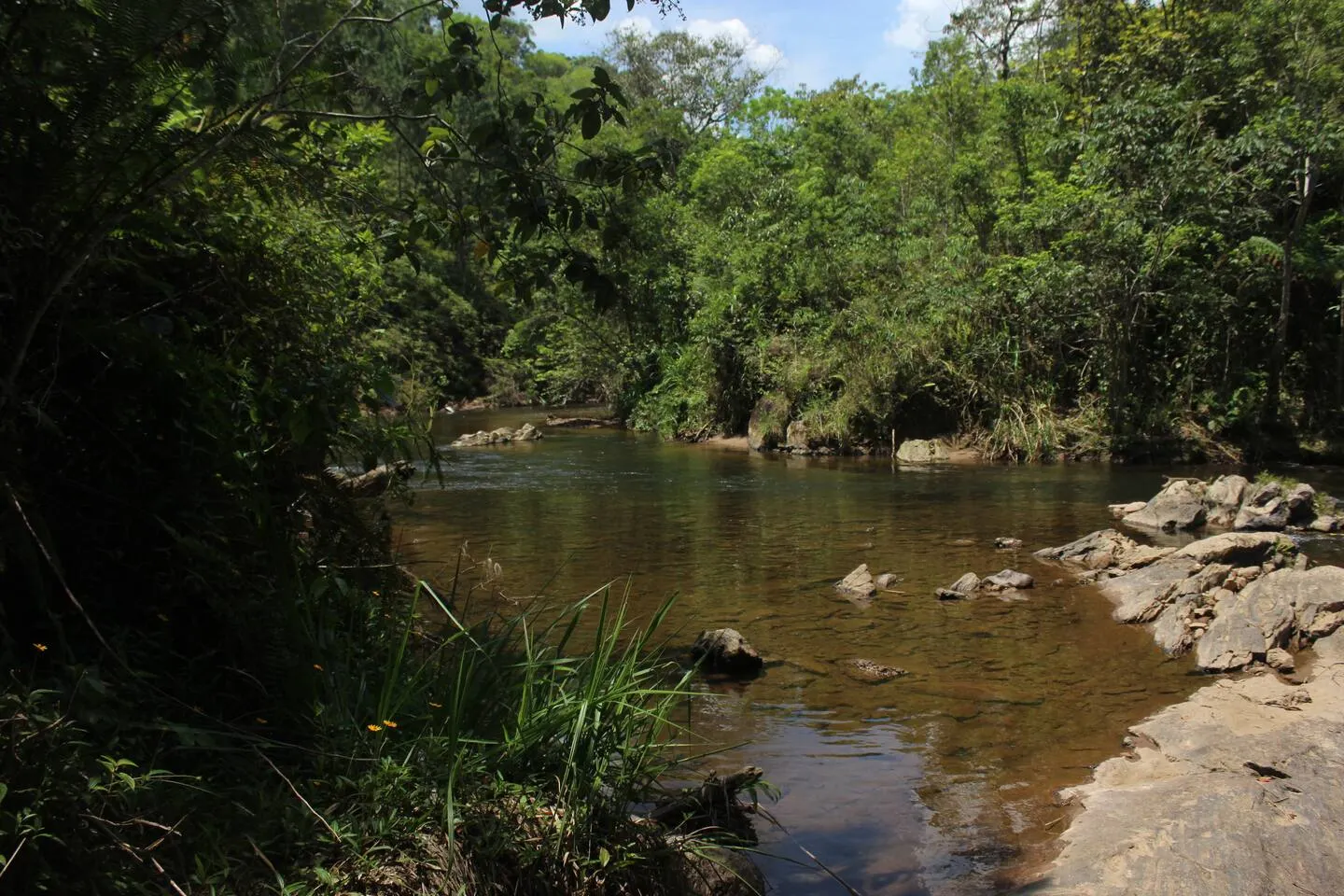 Sítio à venda de 24 ha em Miracatu, SP, Brasil