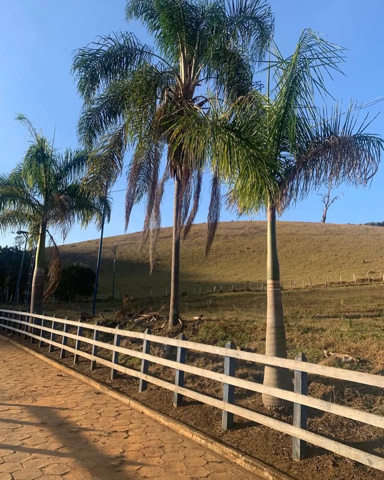 Sítio à venda de 34 ha em São José do Alegre, MG, Brasil