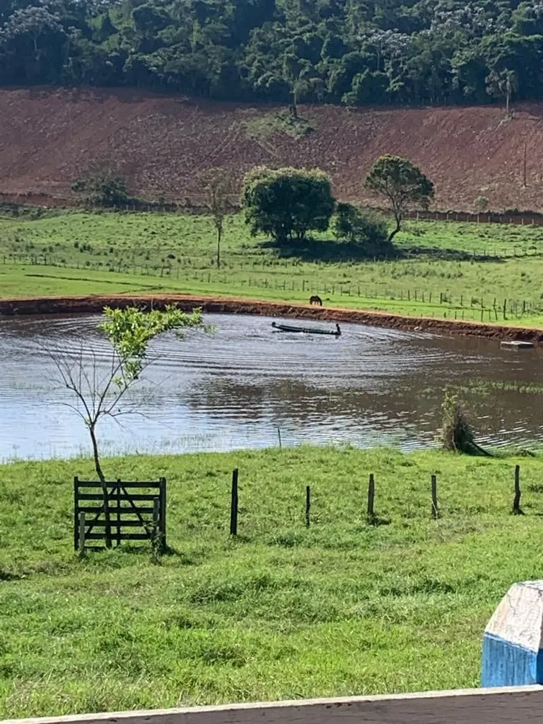 Sítio à venda de 34 ha em São José do Alegre, MG, Brasil