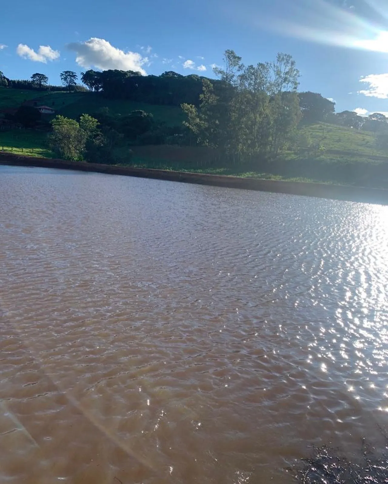Sítio à venda de 34 ha em São José do Alegre, MG, Brasil