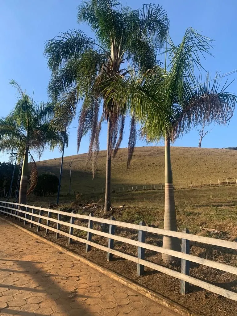Sítio à venda de 34 ha em São José do Alegre, MG, Brasil