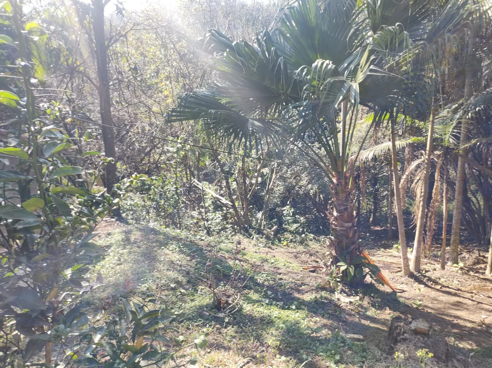 Chácara à venda de 2 ha em São José dos Campos, SP, Brasil
